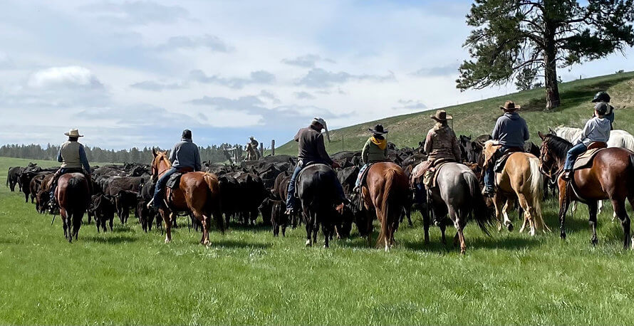 Fmaily Riding on Land