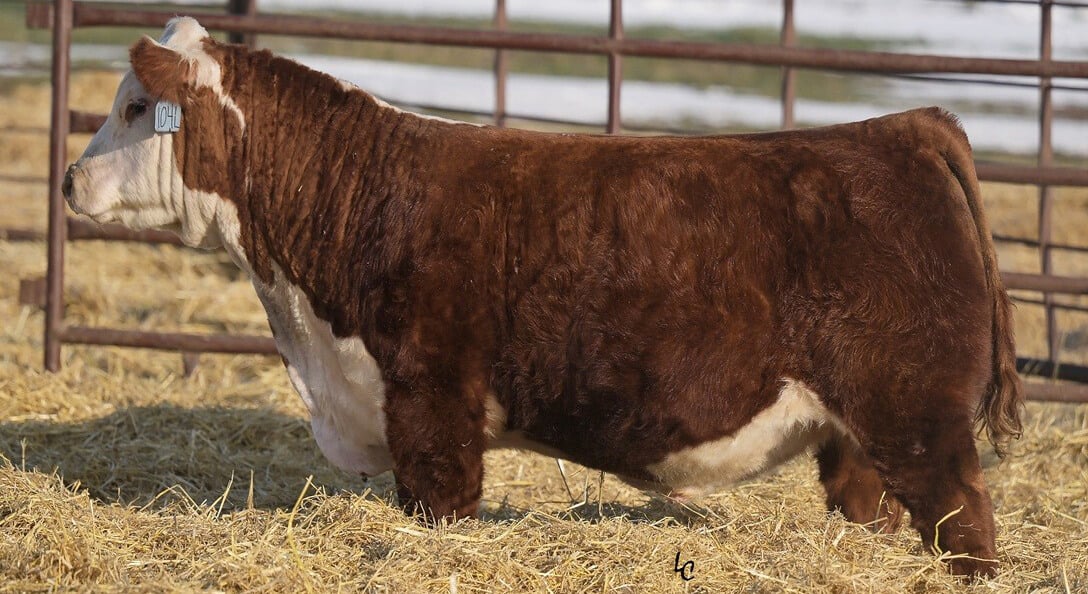 Image of Venture